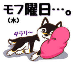 Only for a shiba-inu . 2nd ver. sticker #4203038