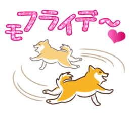 Only for a shiba-inu . 2nd ver. sticker #4203039
