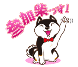 Only for a shiba-inu . 2nd ver. sticker #4203040