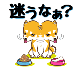 Only for a shiba-inu . 2nd ver. sticker #4203043