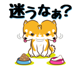 Only for a shiba-inu . 2nd ver. sticker #4203043