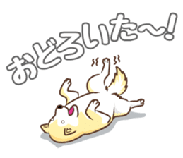 Only for a shiba-inu . 2nd ver. sticker #4203045