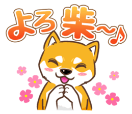 Only for a shiba-inu . 2nd ver. sticker #4203046