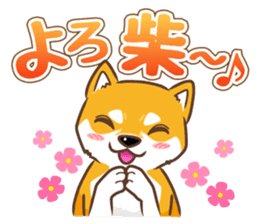 Only for a shiba-inu . 2nd ver. sticker #4203046