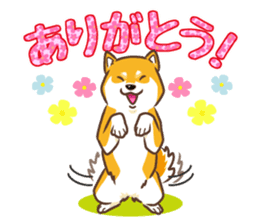 Only for a shiba-inu . 2nd ver. sticker #4203049