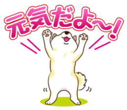 Only for a shiba-inu . 2nd ver. sticker #4203051