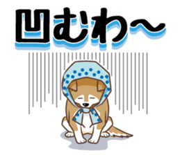 Only for a shiba-inu . 2nd ver. sticker #4203052