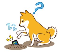 Only for a shiba-inu . 2nd ver. sticker #4203054