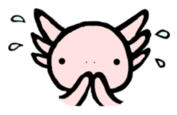 "Axolotl" Born in Mexico sticker #4204938