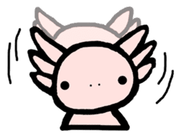 "Axolotl" Born in Mexico sticker #4204940