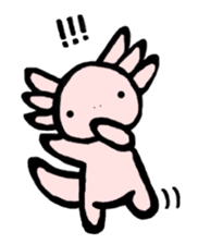 "Axolotl" Born in Mexico sticker #4204948