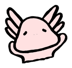 "Axolotl" Born in Mexico sticker #4204951