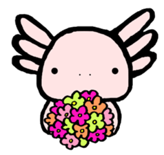 "Axolotl" Born in Mexico sticker #4204953