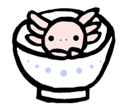 "Axolotl" Born in Mexico sticker #4204962