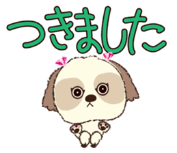 Shih Tzu Marlon daily life sticker 2 sticker #4205289