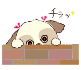 Shih Tzu Marlon daily life sticker 2 sticker #4205293
