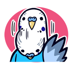 Budgerigar Man sticker #4208659