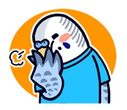 Budgerigar Man sticker #4208667