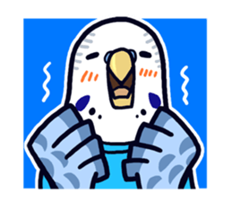Budgerigar Man sticker #4208668