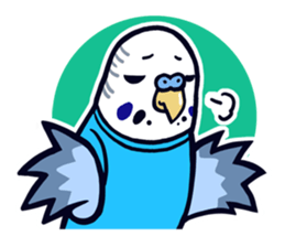 Budgerigar Man sticker #4208670