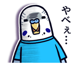 Budgerigar Man sticker #4208677
