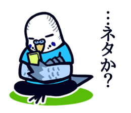 Budgerigar Man sticker #4208679