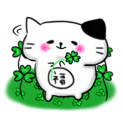 The cat which causes blessings