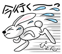 Contact carefree days of white rabbit sticker #4211883