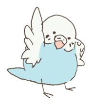 Reticent little parakeet sticker #4211958