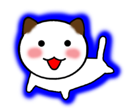 The cat of the positive manner. sticker #4213179