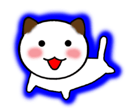 The cat of the positive manner. sticker #4213179
