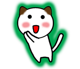 The cat of the positive manner. sticker #4213187