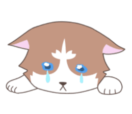 Siberian husky&White cat sticker #4214787