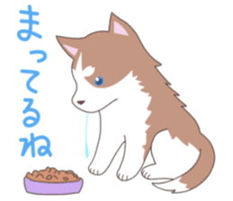 Siberian husky&White cat sticker #4214790