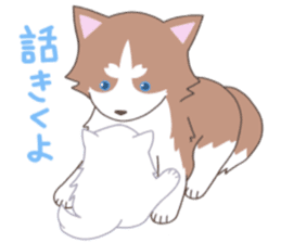 Siberian husky&White cat sticker #4214796