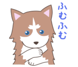 Siberian husky&White cat sticker #4214797