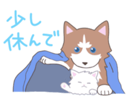 Siberian husky&White cat sticker #4214802