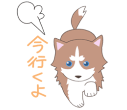 Siberian husky&White cat sticker #4214803