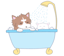 Siberian husky&White cat sticker #4214810