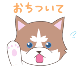 Siberian husky&White cat sticker #4214817