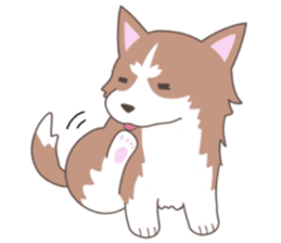 Siberian husky&White cat sticker #4214818