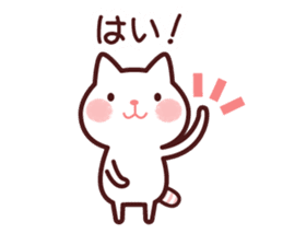 Cat 1 you do not choose a partner sticker #4219744