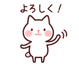 Cat 1 you do not choose a partner sticker #4219756