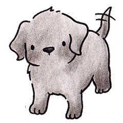 The Cherry of black Labrador Retriever.