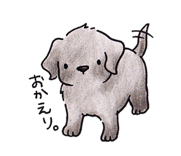 The Cherry of black Labrador Retriever. sticker #4221025