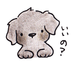 The Cherry of black Labrador Retriever. sticker #4221035