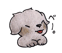 The Cherry of black Labrador Retriever. sticker #4221038