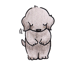 The Cherry of black Labrador Retriever. sticker #4221055