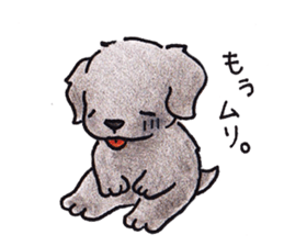 The Cherry of black Labrador Retriever. sticker #4221056