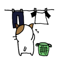 nyansuke daily3 sticker #4222674